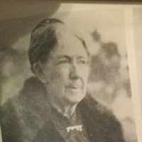 Ellen Fenn (1843 - 1925) Profile
